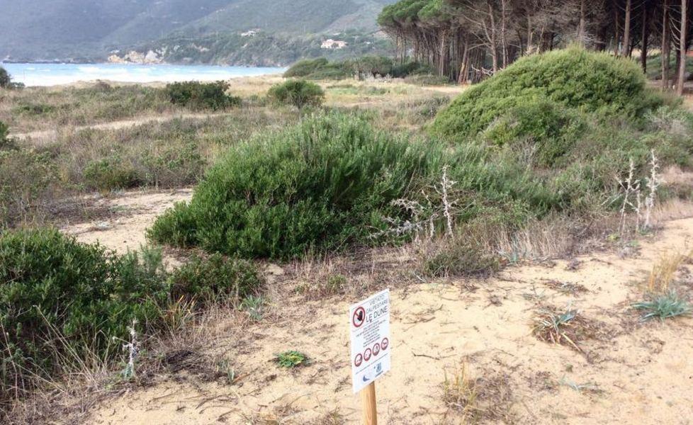 Un cordone anti erosione per salvare le dune 