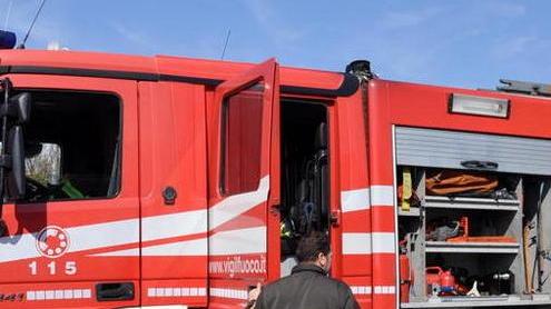 Canna fumaria in fiamme per colpa dei calabroni