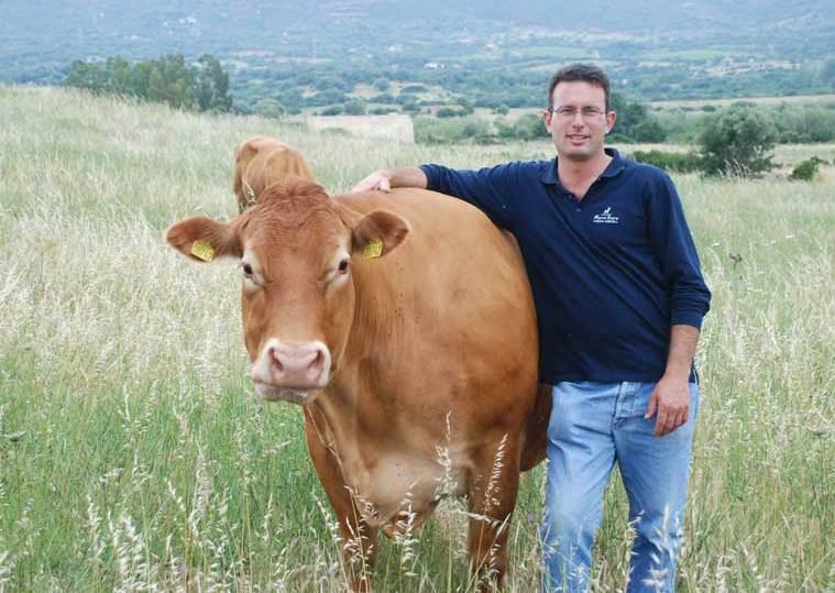 Marco, il signore delle Limousine 