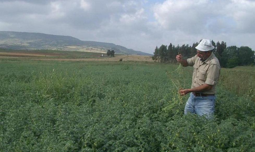 Agricoltura: boom di imprese, in Sardegna è più 26 per cento 