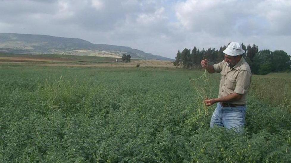 Agricoltura: boom di imprese, in Sardegna è più 26 per cento