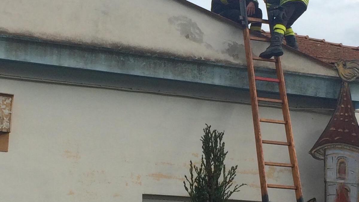 Vigili del fuoco sul tetto dell'asilo