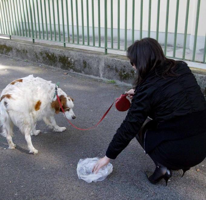 In borghese contro i bisogni dei cani 