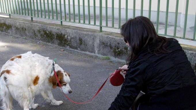 In borghese contro i bisogni dei cani