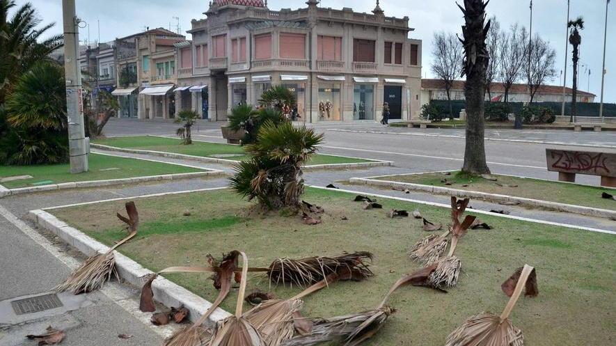 Il viale a mare chiuso al traffico per il forte vento