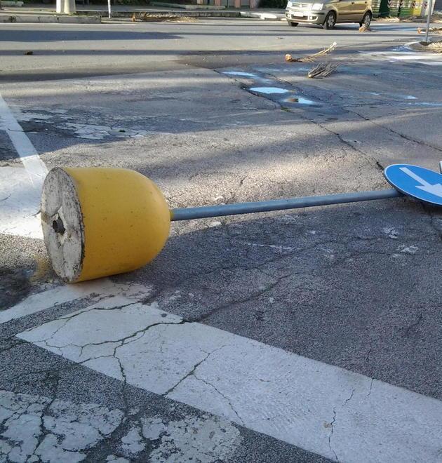 Raffiche di vento sradicano rami e cartelli stradali