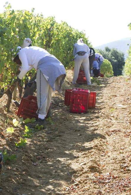Caporalato, incontro in Maremma di Fai Cisl