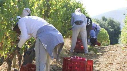 Caporalato, incontro in Maremma di Fai Cisl