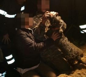 Incastrato in un cunicolo Bassotto salvato dai vigili 