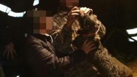 Incastrato in un cunicolo Bassotto salvato dai vigili