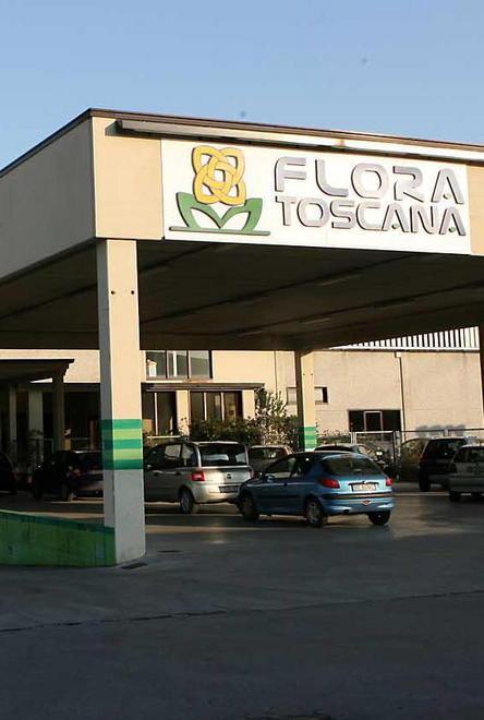 Vendite e fatturato, un anno da record per Flora Toscana