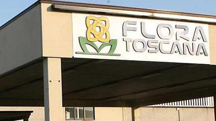 Vendite e fatturato, un anno da record per Flora Toscana
