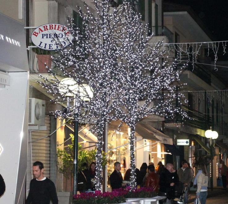 Via gli addobbi di Natale si lavora all’albero di luce