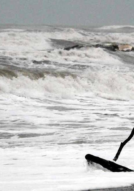 Mare in tempesta, la spiaggia si riempie di tronchi e sporcizia 