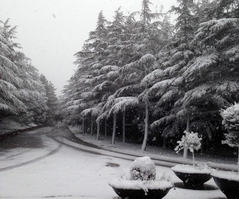 Una nevicata nel Nuorese (foto archivio)