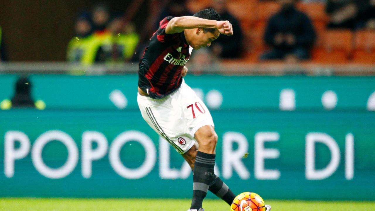 bacca
