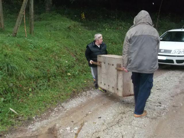 Il salvataggio del capriolo rimasto intrappolato a Camaiore