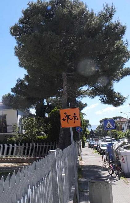 Scarichi edili nel giardino di scuola 