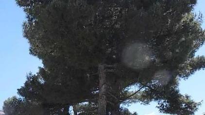 Scarichi edili nel giardino di scuola