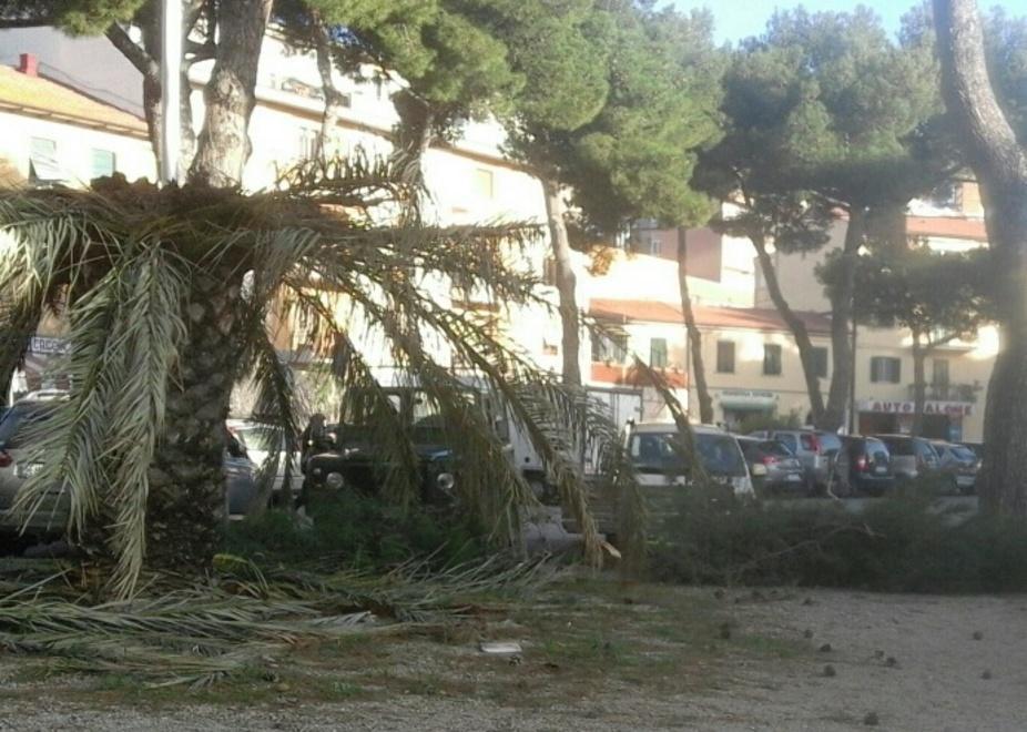 oggi occhio al maestrale