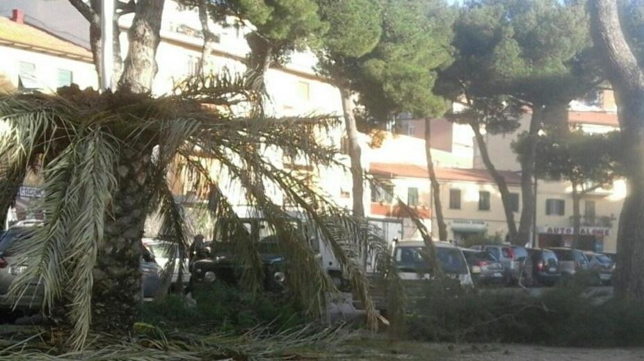 oggi occhio al maestrale