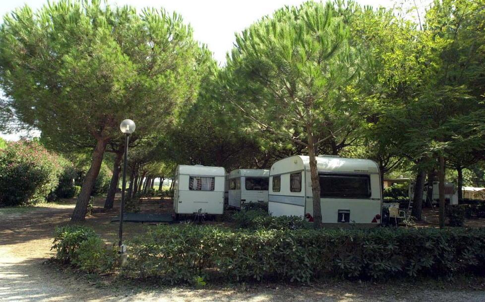 Campeggio Sant’Albinia Il Comune ci riprova 