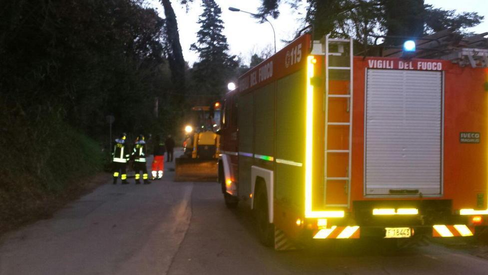 Un cipresso si abbatte sulla sede dell’Assistenza