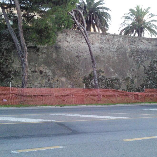 Morìa di pesci in laguna, torna l’allarme 