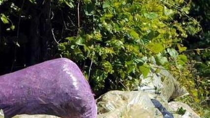 Frequenza ridotta per i ritiri del verde