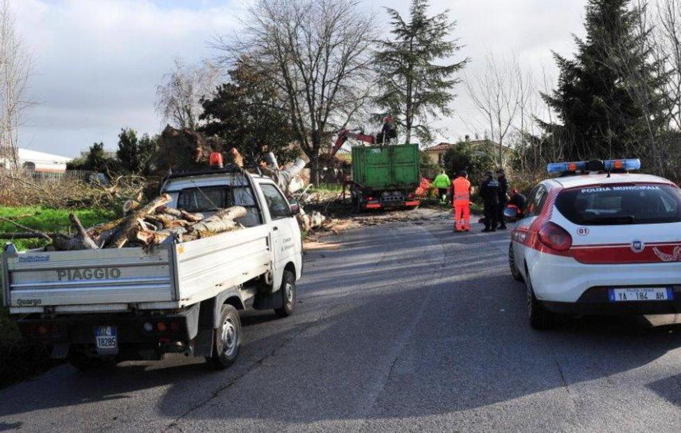 Albero piomba su due auto 