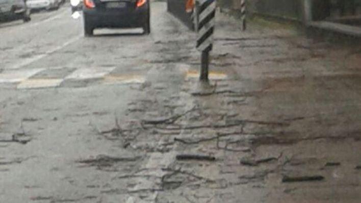 Alberi pericolosi, un problema irrisolto