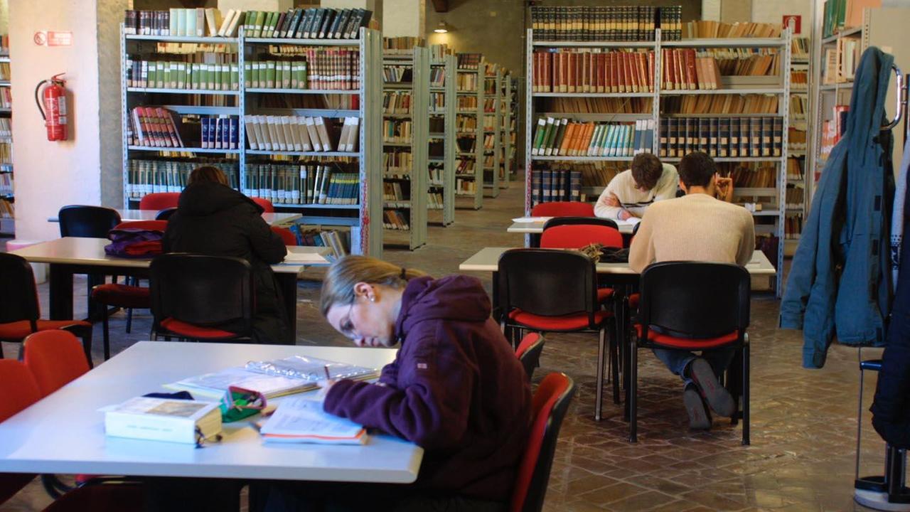 La biblioteca Labronica