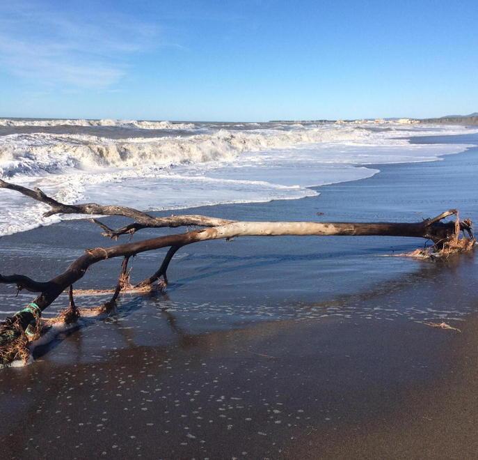 Il mare si è divorato 6 km di spiaggia 
