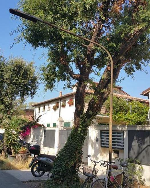 Via Chiusa, nuovo furto rubati i regali di Natale 