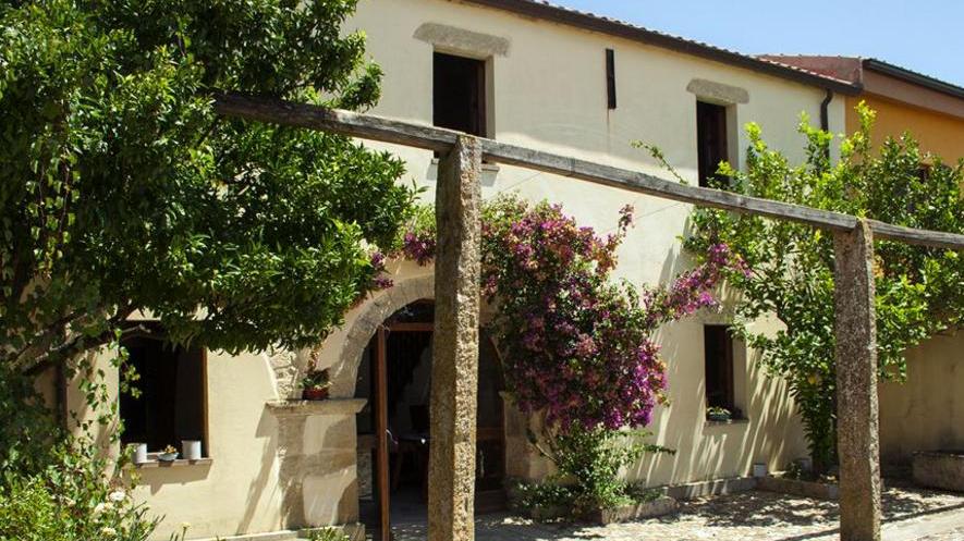 Il Museo del Cavallino diventa regionale