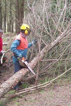 L’opposizione: «Persi i fondi per i cantieri verdi»