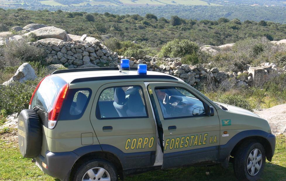 In tribunale 48 falsi agricoltori 