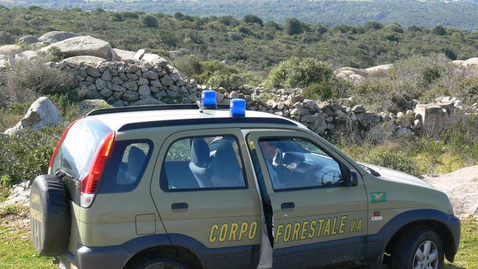 In tribunale 48 falsi agricoltori