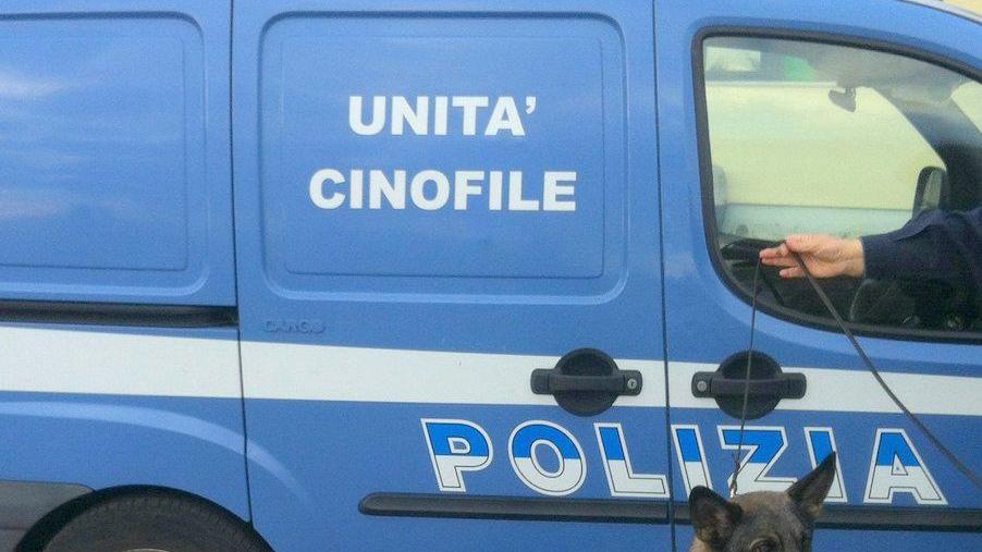 Il cane antidroga Odry