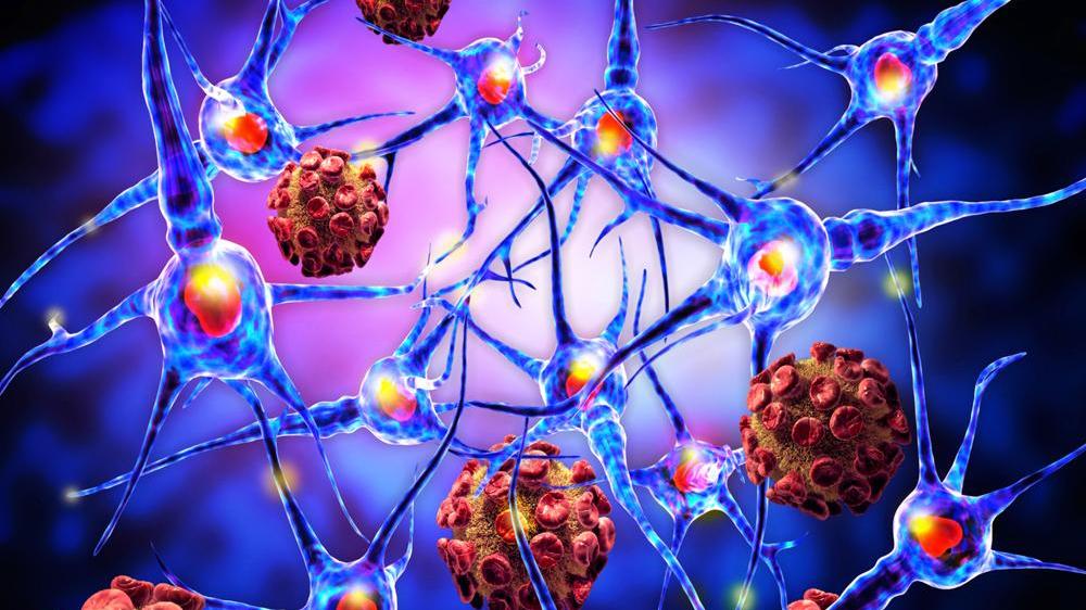 Meningite in Toscana, ora si teme l'epidemia