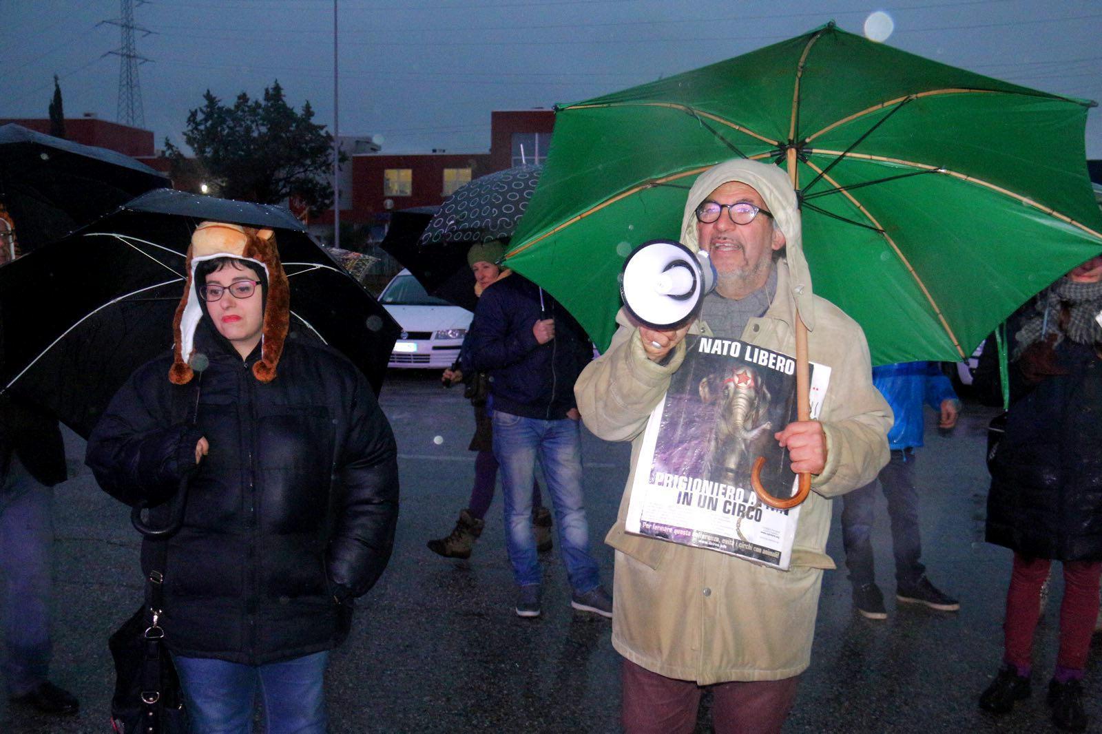 Circo Medrano, gli animalisti contro il sindaco: ci ha ripensato, presenteremo un esposto