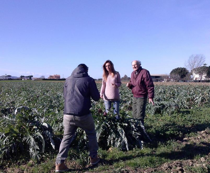 Il carciofo di Venturina protagonista sulla Rai 