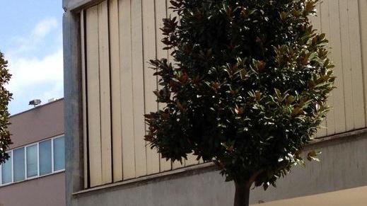 Sì alla perequazione per rilanciare l’edilizia in crisi