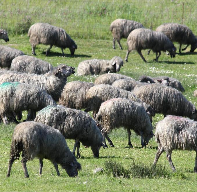 Fissato il calendario delle prossime udienze: alla fine di settembre ci sarà la sentenza
