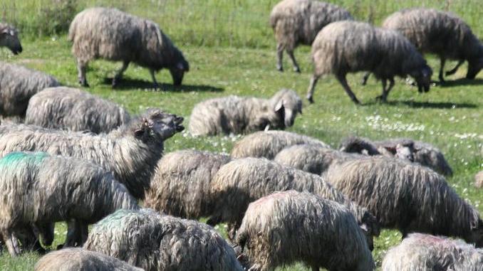 Fissato il calendario delle prossime udienze: alla fine di settembre ci sarà la sentenza