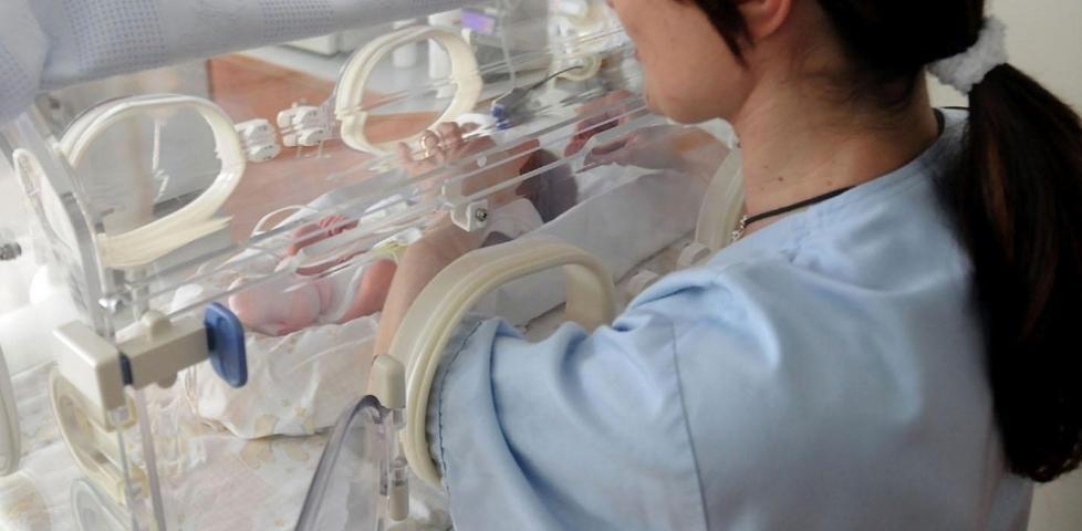 Biancareddu in Procura: esposto contro l’assessore 