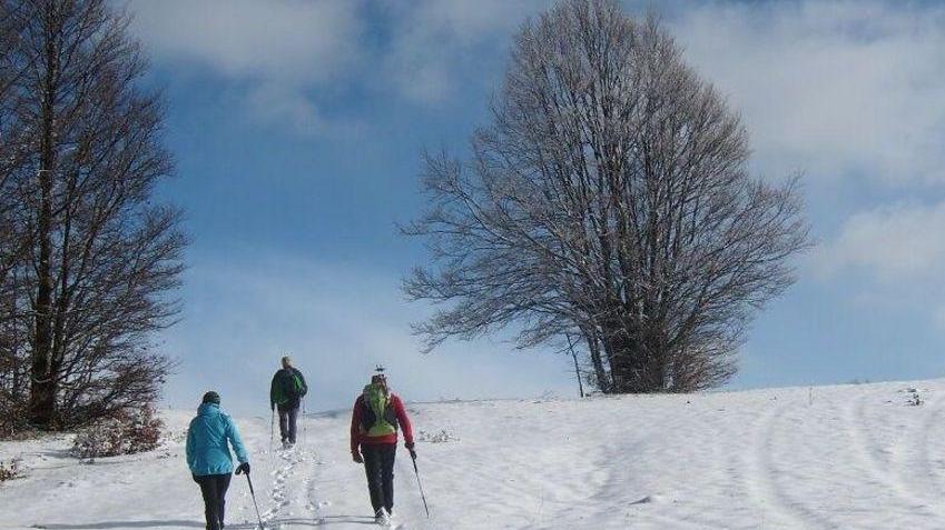 S. Andrea Pelago, il fascino del borgo fino al Rovinoso