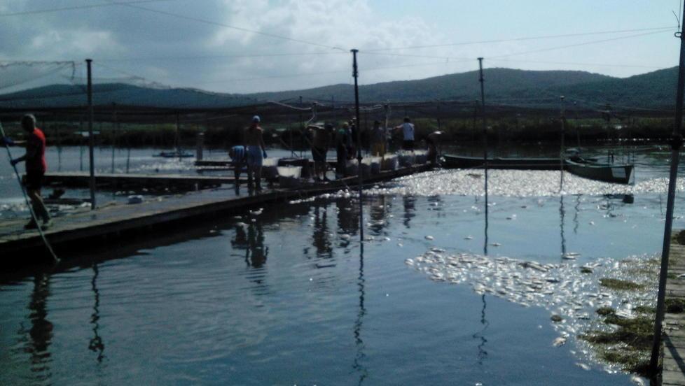 «La laguna non è fuori pericolo Lavoriamo per evitare altre crisi» 