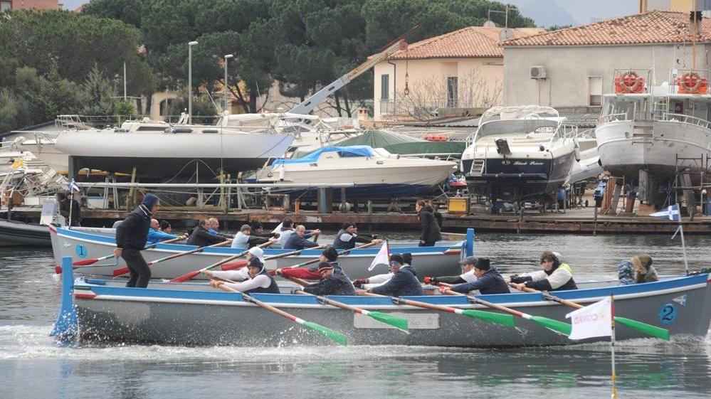 Rematori in azione nello specchio d'acqua davanti a via Redipuglia