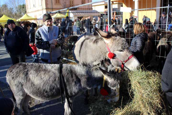 L'arca di Noè arriva ai Quercioli 